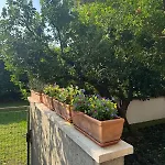 公寓 Il Giardino Di Na